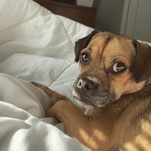 Meet your Posher, Bridal